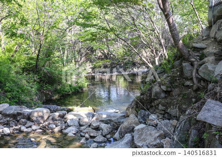Beautiful Summer Valley Stream in a Lush Korean Forest Beautiful Summer Valley Stream in a Lush Korean Forest 140516831
