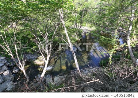 Beautiful Summer Valley Stream in a Lush Korean Forest Beautiful Summer Valley Stream in a Lush Korean Forest 140516842