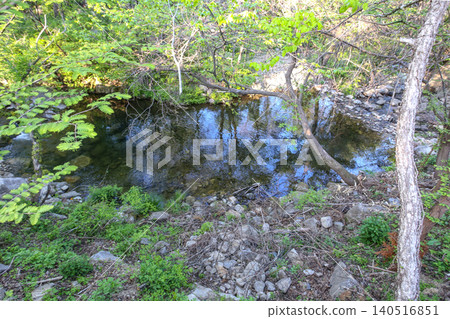 Beautiful Summer Valley Stream in a Lush Korean Forest Beautiful Summer Valley Stream in a Lush Korean Forest 140516851