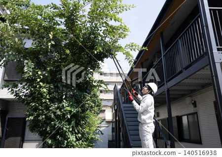 園林工人切割花園的樹 園林工人切割花園的樹 140516938