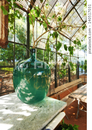 Outdoor, greenhouse and table with glass in nature, ecology and carbon capture for eco environment with plant for natural sustainable growth. Earth day and health for ecosystem and clean energy Outdoor, greenhouse and table with glass in nature, ecology and carbon capture for eco environment with plant for natural sustainable growth. Earth day and health for ecosystem and clean energy 140517031