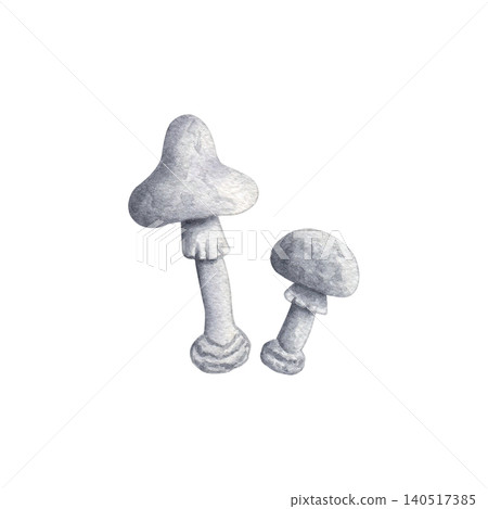 Gray mushrooms watercolor illustration isolated on white background. Poisonous toadstools clipart perfect for Halloween party invitations and gothic holiday decor Gray mushrooms watercolor illustration isolated on white background. Poisonous toadstools clipart perfect for Halloween party invitations and gothic holiday decor 140517385