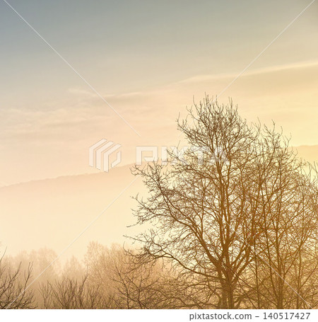 Landscape, sky or mist with trees or winter on cold morning for weather, climate or mockup space. Outdoor, nature scenery and fog in woods for ecosystem background, environment or natural habitat Landscape, sky or mist with trees or winter on cold morning for weather, climate or mockup space. Outdoor, nature scenery and fog in woods for ecosystem background, environment or natural habitat 140517427