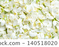 White Jasmine petals and flowers texture 140518020
