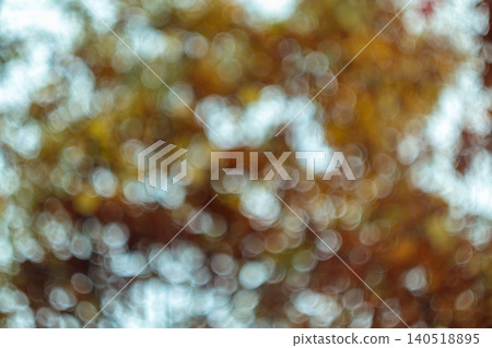Autumn forest foliage bokeh orange brown nature background 140518895