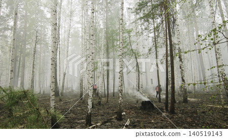 Silent Forest Watchers Stand Alert. Dense Fog Surrounds Forest As Ranger Surveys Nature Carefully. Stock Clip Silent Forest Watchers Stand Alert. Dense Fog Surrounds Forest As Ranger Surveys Nature Carefully. Stock Clip 140519143