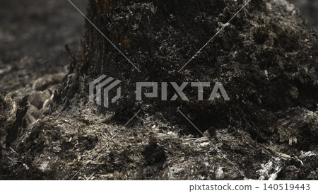 Intimate Inspection Of Scorched Wooden Base Showing Granular Ash And Fractured Cinder Fragments . Stock clip Intimate Inspection Of Scorched Wooden Base Showing Granular Ash And Fractured Cinder Fragments . Stock clip 140519443