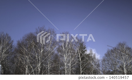Calm Landscape With Trees And Soft Sunlight. Tranquil Winter Morning With Bare Birch And Distant Clouds . Media Calm Landscape With Trees And Soft Sunlight. Tranquil Winter Morning With Bare Birch And Distant Clouds . Media 140519457