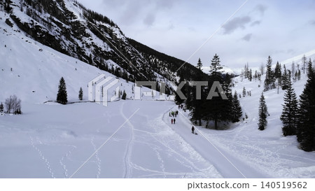Guided Team Carefully Advances Along Narrow Trail Through Fresh Powdery Snow Surrounded By Towering Pines. Media Guided Team Carefully Advances Along Narrow Trail Through Fresh Powdery Snow Surrounded By Towering Pines. Media 140519562