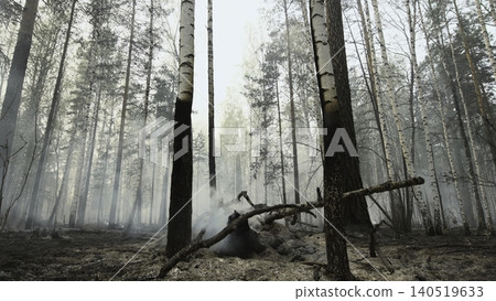 Silent Burnt Wood With Smoke. Serene Scene Of Scorched Timber With Wisps Of Smoke And Muted Daylight . Stock clip 140519633