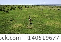 Majestic Adult Giraffe In Open Grassland. Closeup Of Giraffe With Sunlight Illuminating Its Coat. Media 140519677