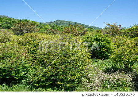 Nasu Mountains in early summer Nasu Mountains in early summer 140520170