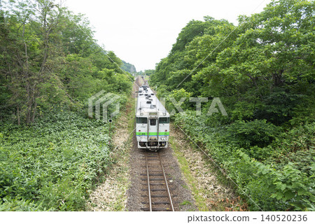 北海道的一列火車穿過一片綠樹成蔭的森林，從車窗可以欣賞到美麗的自然風光。 140520236