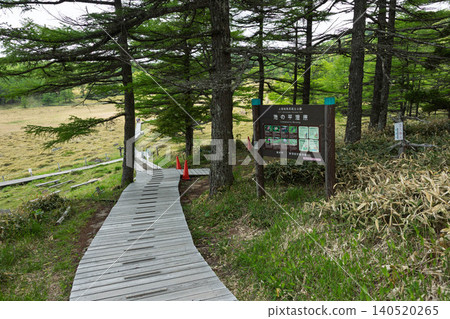 Boardwalk in Ikenotaira Marsh, Tomi City, Nagano Prefecture 140520265