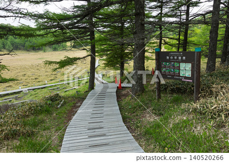 Boardwalk in Ikenotaira Marsh, Tomi City, Nagano Prefecture Boardwalk in Ikenotaira Marsh, Tomi City, Nagano Prefecture 140520266