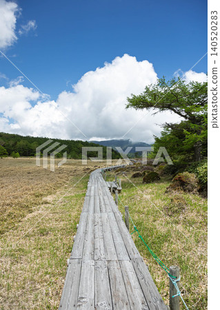 Boardwalk in Ikenotaira Marsh, Tomi City, Nagano Prefecture Boardwalk in Ikenotaira Marsh, Tomi City, Nagano Prefecture 140520283