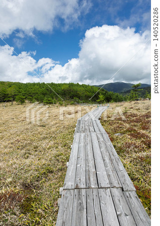 Boardwalk in Ikenotaira Marsh, Tomi City, Nagano Prefecture Boardwalk in Ikenotaira Marsh, Tomi City, Nagano Prefecture 140520286