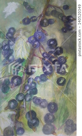 Blueberry branches with berries Blueberry branches with berries 140520349
