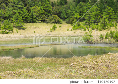 Kagami Pond in Ikenotaira Marsh, Tomi City, Nagano Prefecture Kagami Pond in Ikenotaira Marsh, Tomi City, Nagano Prefecture 140520392