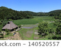 Nakaikemi Wetland in early summer 140520557