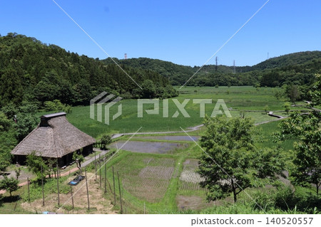 Nakaikemi Wetland in early summer 140520557