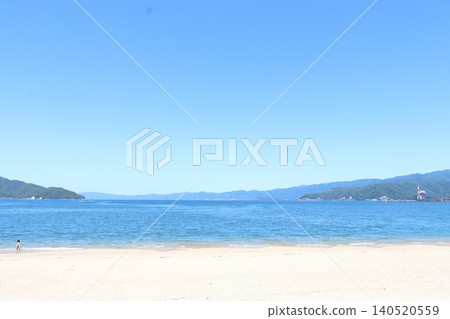 Pine forest beach in early summer 140520559