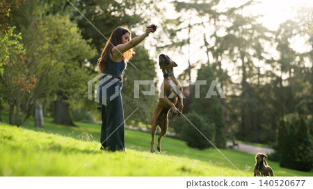 Woman playing with dog in sunny green park Woman playing with dog in sunny green park 140520677