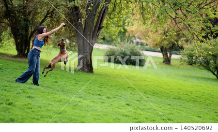 Woman playing with dog in park, pet jumping for toy Woman playing with dog in park, pet jumping for toy 140520692