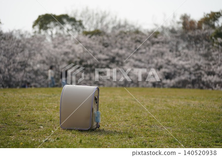 A school bag placed on the grass with cherry blossoms in full bloom in the background. A school bag placed on the grass with cherry blossoms in full bloom in the background. 140520938