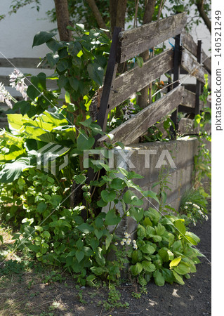 crumbling fence crumbling fence 140521249