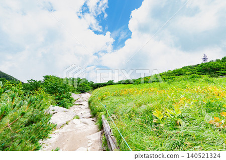 千丈嶋冰鬥的步道和高山植物 千丈嶋冰鬥的步道和高山植物 140521324
