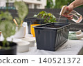 Woman sprays water on soil in planter box at outdoor gardening table 140521372