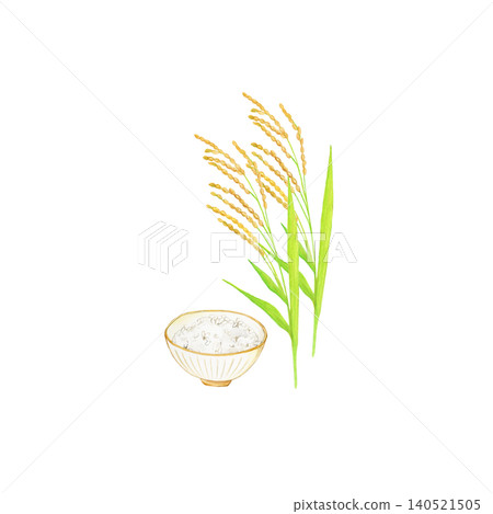 A watercolor hand-drawn illustration of new rice and rice stalks, featuring a rice bowl and an image of autumn harvest. A watercolor hand-drawn illustration of new rice and rice stalks, featuring a rice bowl and an image of autumn harvest. 140521505