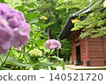 妙本寺二天門和繡球花 140521720
