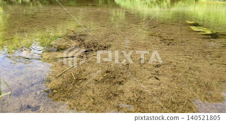 Natural background material featuring greenery reflected on the surface of clear, shallow water. Natural background material featuring greenery reflected on the surface of clear, shallow water. 140521805