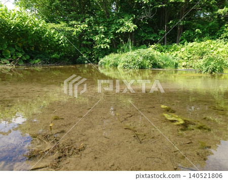 A landscape of clear, shallow waters surrounded by a lush green forest. A landscape of clear, shallow waters surrounded by a lush green forest. 140521806