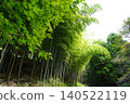 A bamboo forest landscape enveloped in fresh greenery. 140522119