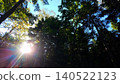Sunlight filtering through the trees and sunlight 140522123