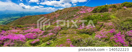 Mountains in full bloom with Miyama Kirishima azaleas - Kuju Mountain Range, Oita Prefecture Mountains in full bloom with Miyama Kirishima azaleas - Kuju Mountain Range, Oita Prefecture 140522223