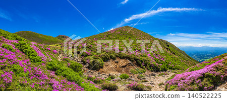 Mountains in full bloom with Miyama Kirishima azaleas - Kuju Mountain Range, Oita Prefecture Mountains in full bloom with Miyama Kirishima azaleas - Kuju Mountain Range, Oita Prefecture 140522225