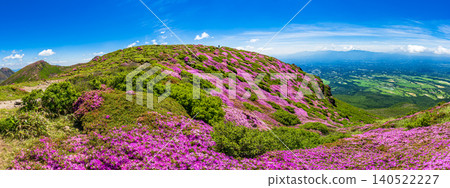 Mountains in full bloom with Miyama Kirishima azaleas - Kuju Mountain Range, Oita Prefecture 140522227