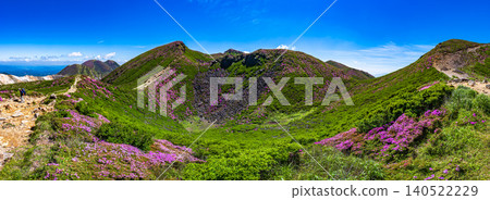 大分縣九重山脈,宮山霧島杜鵑花盛開,美不勝收。 大分縣九重山脈,宮山霧島杜鵑花盛開,美不勝收。 140522229