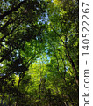 Green Arch 140522267