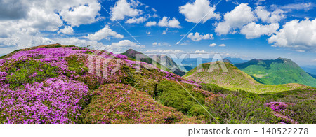Mountains in full bloom with Miyama Kirishima azaleas - Kuju Mountain Range, Oita Prefecture Mountains in full bloom with Miyama Kirishima azaleas - Kuju Mountain Range, Oita Prefecture 140522278