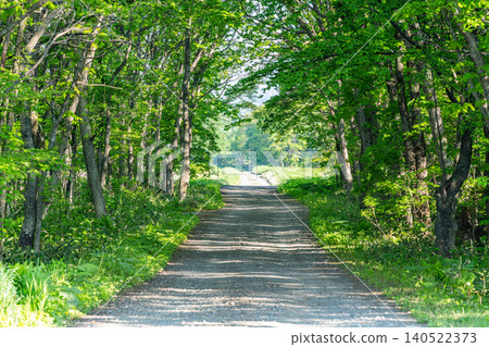 Mountain road (dirt road image) Mountain road (dirt road image) 140522373
