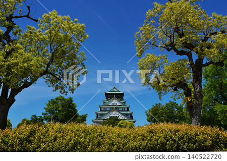 大阪城雄偉壯麗，是日本最著名的城堡之一。 140522720