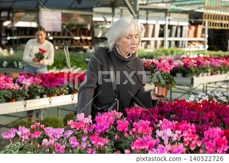 Elderly woman choosing flower pots Elderly woman choosing flower pots 140522726