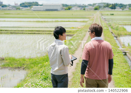 從事水稻種植的人們 從事水稻種植的人們 140522906