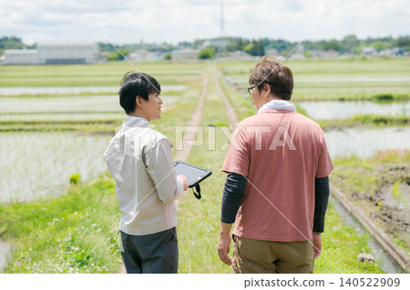 People engaged in rice farming People engaged in rice farming 140522909