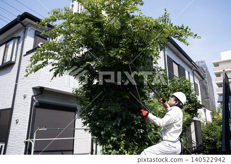 工人們正在修剪花園裡的樹木 工人們正在修剪花園裡的樹木 140522942